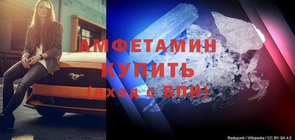 сатива Беломорск