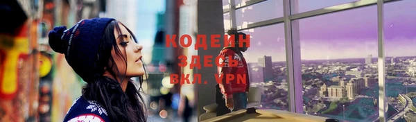 сатива Беломорск