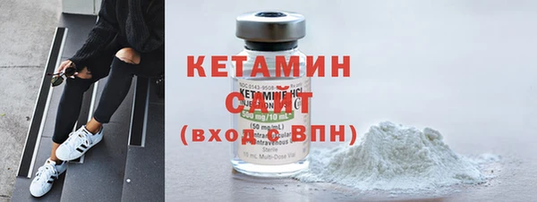 сатива Беломорск