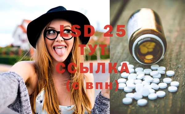 spice Белокуриха