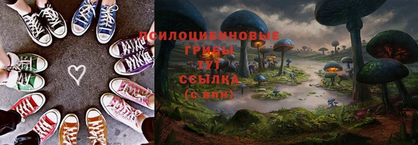 сатива Беломорск